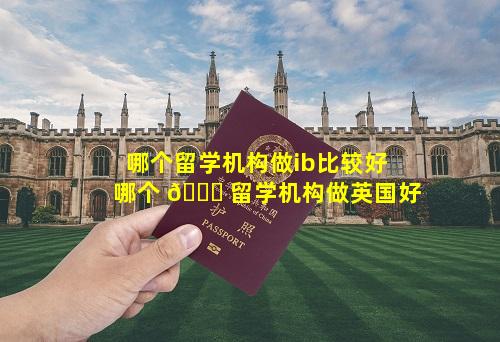 哪个留学机构做ib比较好 哪个 🐈 留学机构做英国好